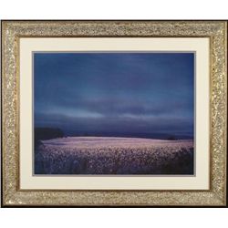 Flower Fields Art Photo Photograph Framed