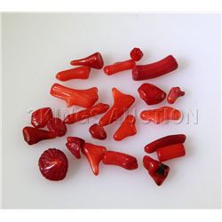 Red Coral 13.0 ctw
