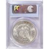 Image 3 : 1883 MORGAN DOLLAR PCGS MS64