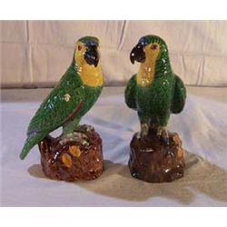 A PAIR OF 19th CENTURY PARROTS