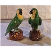 Image 1 : A PAIR OF 19th CENTURY PARROTS