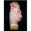 Image 2 : Monkeybone Camel Head
