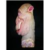 Image 3 : Monkeybone Camel Head