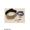 Image 1 : Transformers: Revenge of the Fallen Shia LaBeouf's Dog Collars