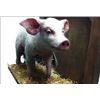Image 2 : Charlottes' Web Mechanical Wilbur The Pig