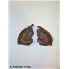 Image 1 : Star Trek Voyager Tuvok Ears