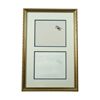 Image 1 : Disney Original Hand Painted Cell & Drawing Donald Duck