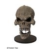 Image 1 : Scrooged Christmas Future Skull
