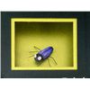 Image 3 : Nightmare Before Christmas Bugs