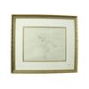 Image 1 : The Sword In The Stone Disney Animation Drawing
