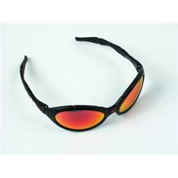 Ed TV Ray Pekurny (Woody Harrelson) Sunglasses Props