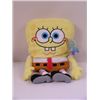 Image 1 : SpongeBob SquarePants Signed Pillow