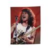 Image 1 : Eddie Van Halen Signed Photo