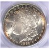 Image 2 : 1885 MORGAN DOLLAR PCGS MS-65+ INCREDIBLE COLOR GREAT LOOKING COIN