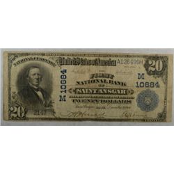 1902 $20 National First NB Saint Ansgar  IA VG  RARE RARE  est  $750-$800