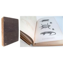 Explorations and Surveys (Zoology)