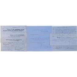 California Gold Rush Document Group 1856-1860