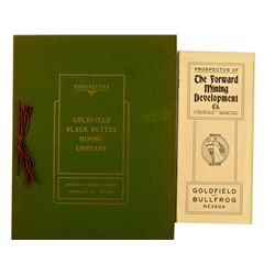 Nevada Mining Prospectuses