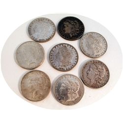 Morgan Silver Dollars