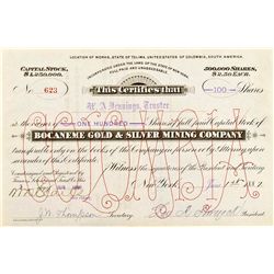 Bocaneme Gold & Silver Mining Company Stock Certificate