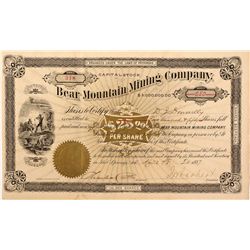Bear Mountain Mining Company Stock Certificate