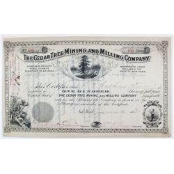 The Cedar Tree Mining and Milling Company Stock