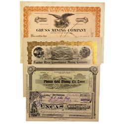 Plumas/Sierra County Group