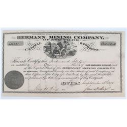 Herman Mining Company of New York Stock Certificate