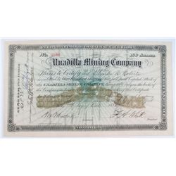 Unadilla Mining Company Stock Certificate