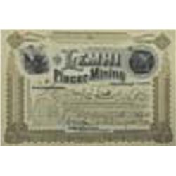 Lemhi Placer-Mining Company Limited Stock