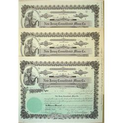 New Jersey Consolidated Mines Co. 3 pieces, all issued