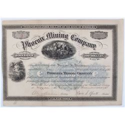 Phoenix Mining Company Stock