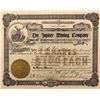 Image 1 : Jupiter Mining Company Stock Certificate