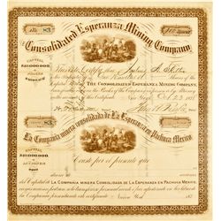 Consolidated Esperanza Mining Company, Stock Certificate