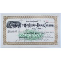 Oro Maximo Mining Company Stock