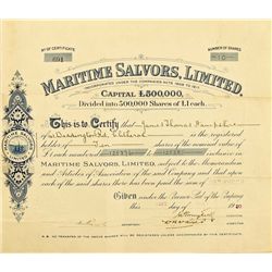 Maritime Salvors, Limited, Stock