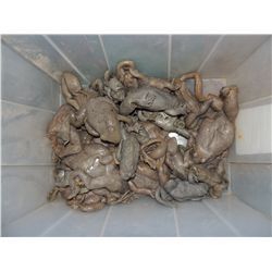 MAGNOLIA CASE OF 25 SCREEN USED FROGS