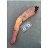 Image 1 : SEVERED ROTTEN ZOMBIE ARM SILICONE GORE CHEWED CHOPPED OFF FINGERS HORROR PROP