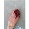 Image 3 : SEVERED ROTTEN ZOMBIE ARM SILICONE GORE CHEWED CHOPPED OFF FINGERS HORROR PROP