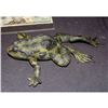 Image 1 : MAGNOLIA SCREEN USED HERO PAINTED UNARMATURED FROG