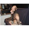 Image 3 : WATCHERS REBORN ANIMATRONIC WEREWOLF PUPPET JOHN BUECHLER F/X SHOP LIQUIDATION