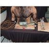 Image 4 : WATCHERS REBORN ANIMATRONIC WEREWOLF PUPPET JOHN BUECHLER F/X SHOP LIQUIDATION