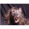 Image 2 : WATCHERS REBORN STITCHED WEREWOLFHAND  PUPPET JOHN BUECHLER F/X SHOP LIQUIDATION