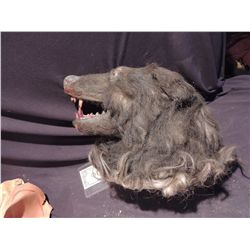 WEREWOLF HEAD PUPPET JOHN BUECHLER F/X SHOP LIQUIDATION