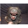 Image 2 : WEREWOLF HEAD PUPPET JOHN BUECHLER F/X SHOP LIQUIDATION