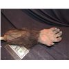 Image 1 : TROLL SCREEN USED INSERT HAND ARM PUPPET JOHN BUECHLER F/X SHOP LIQUIDATION