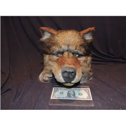 WEREWOLF STATIC CONCEPT HEAD JOHN BUECHLER F/X SHOP LIQUIDATION