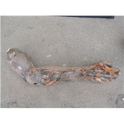 ROTTEN ZOMBIE ARM CORPSE HORROR PROP JOHN BUECHLER F/X SHOP LIQUIDATION