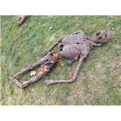 MUMMY ZOMBIE CORPSE HORROR PROP JOHN BUECHLER F/X SHOP LIQUIDATION