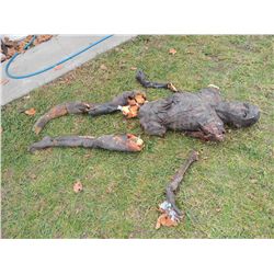 ROTTEN ZOMBIE CORPSE HORROR PROP JOHN BUECHLER F/X SHOP LIQUIDATION